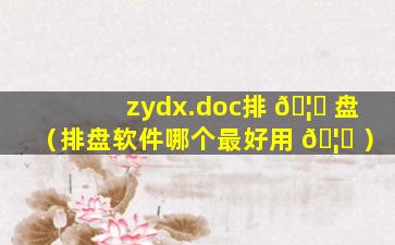 zydx.doc排 🦅 盘（排盘软件哪个最好用 🦁 ）